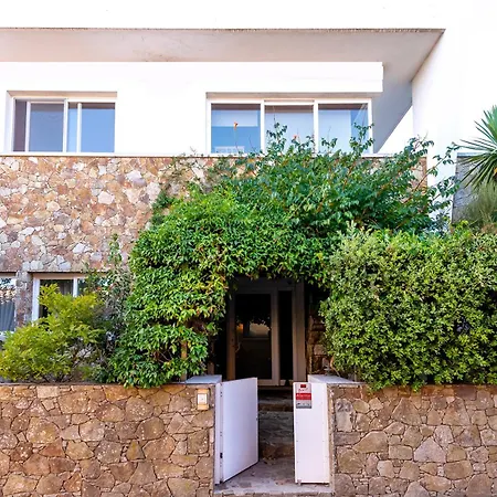 Casa Da Magnolia Affittacamere Murtosa