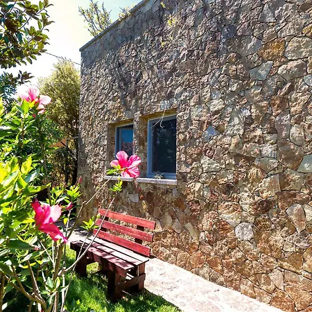 Casa Da Magnolia 4* Murtosa