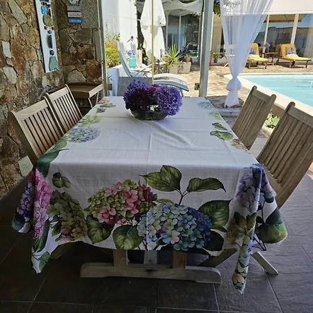 Casa Da Magnolia Affittacamere