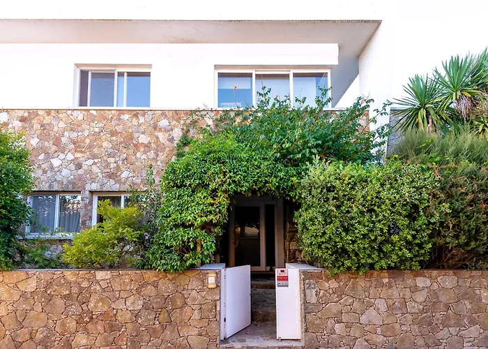 Casa Da Magnolia Affittacamere Murtosa