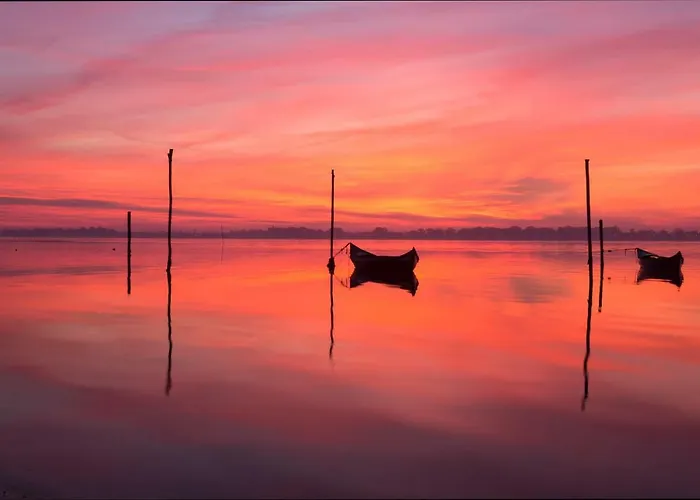 Affittacamere Casa Da Magnolia Murtosa