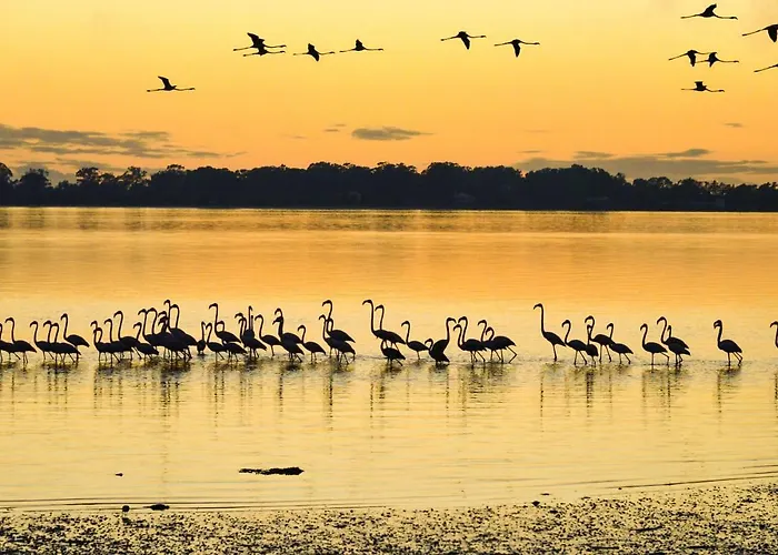 Affittacamere Casa Da Magnolia