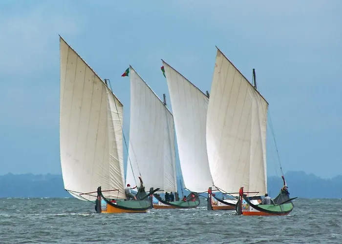 Casa Da Magnolia Affittacamere Murtosa
