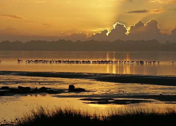 Casa Da Magnolia Affittacamere